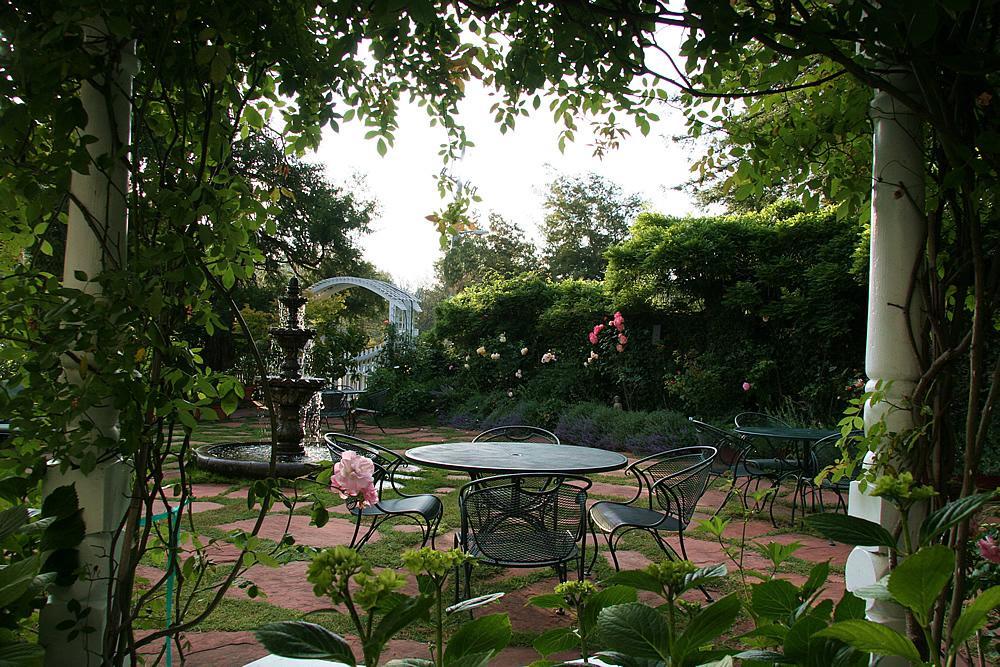 Inn At Occidental Restaurant foto