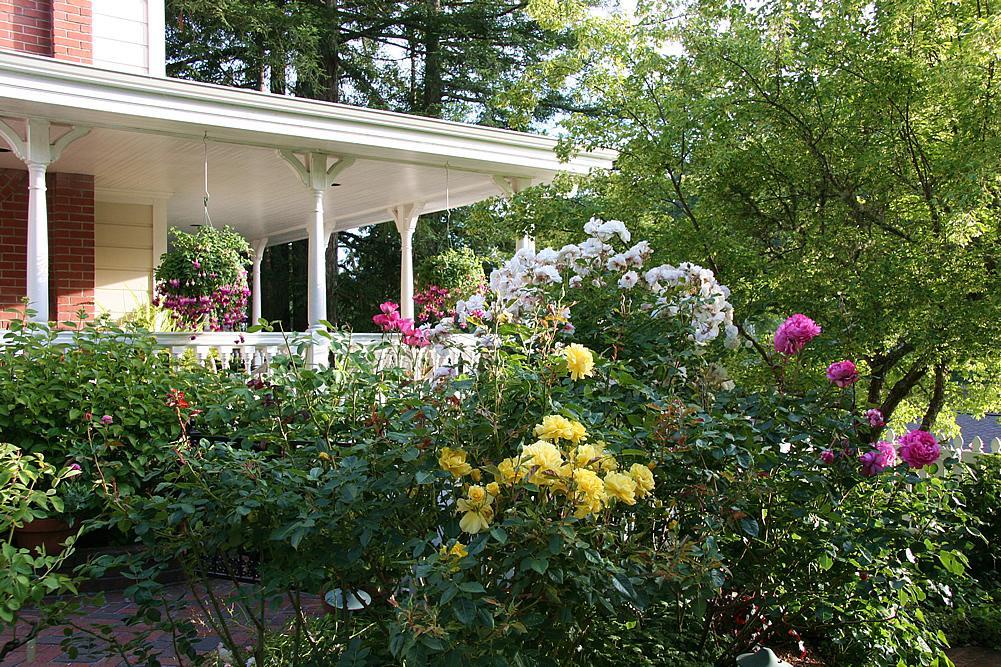 Inn At Occidental Exterior foto