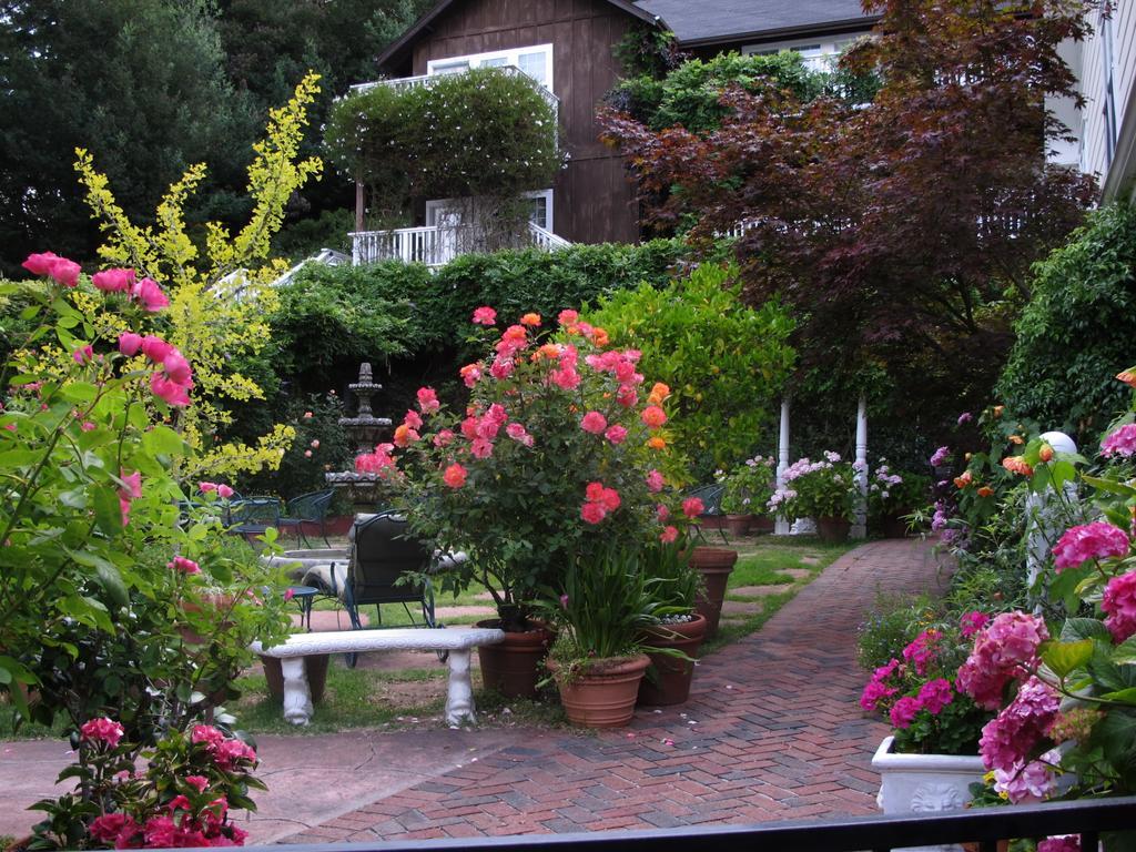 Inn At Occidental Exterior foto